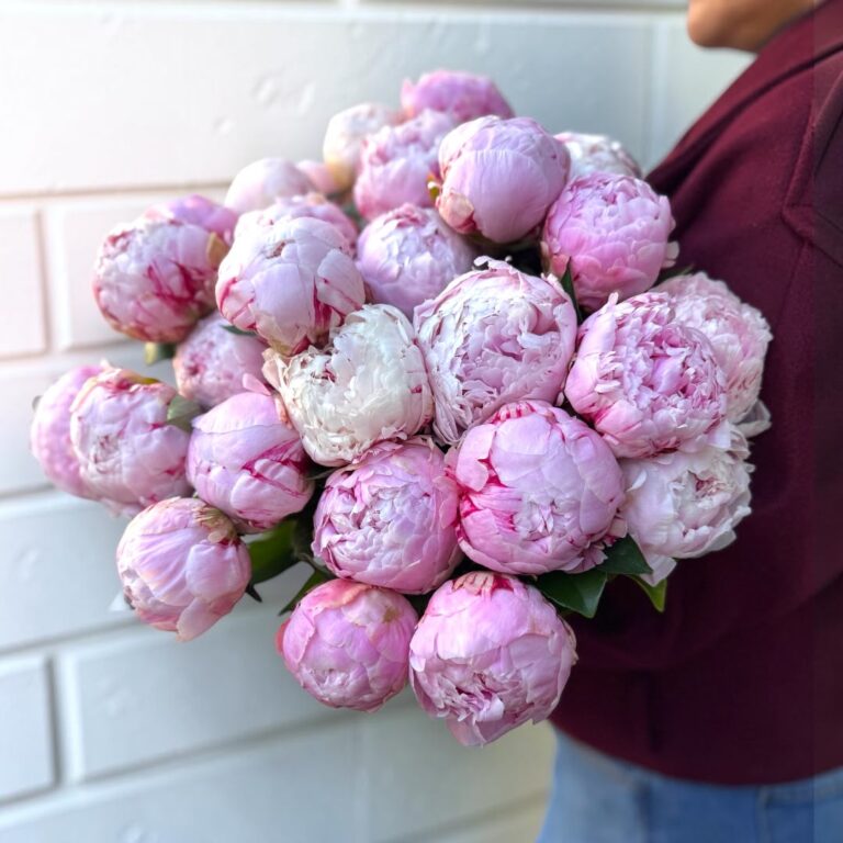 Peony bouquet