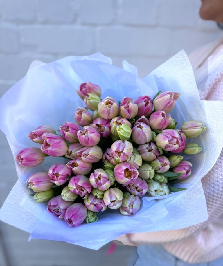 Tulips