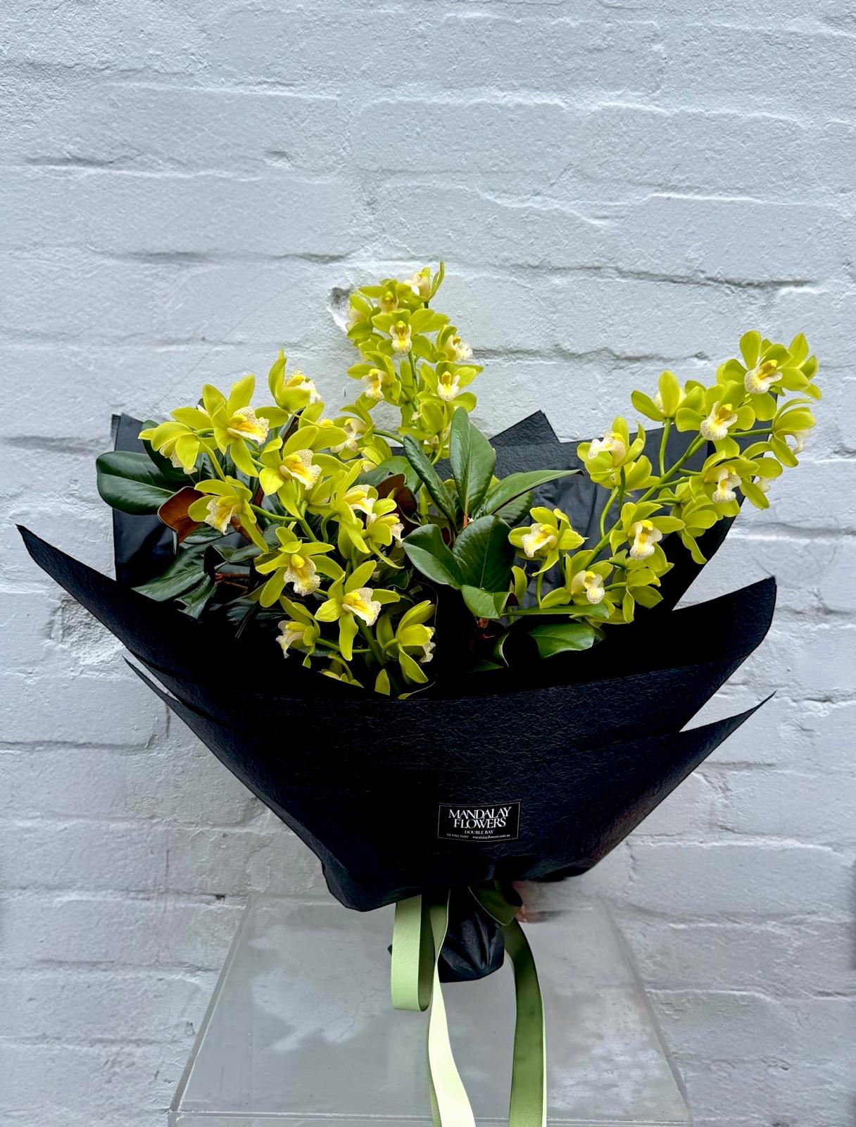 Cymbidium en Masse - Image 3