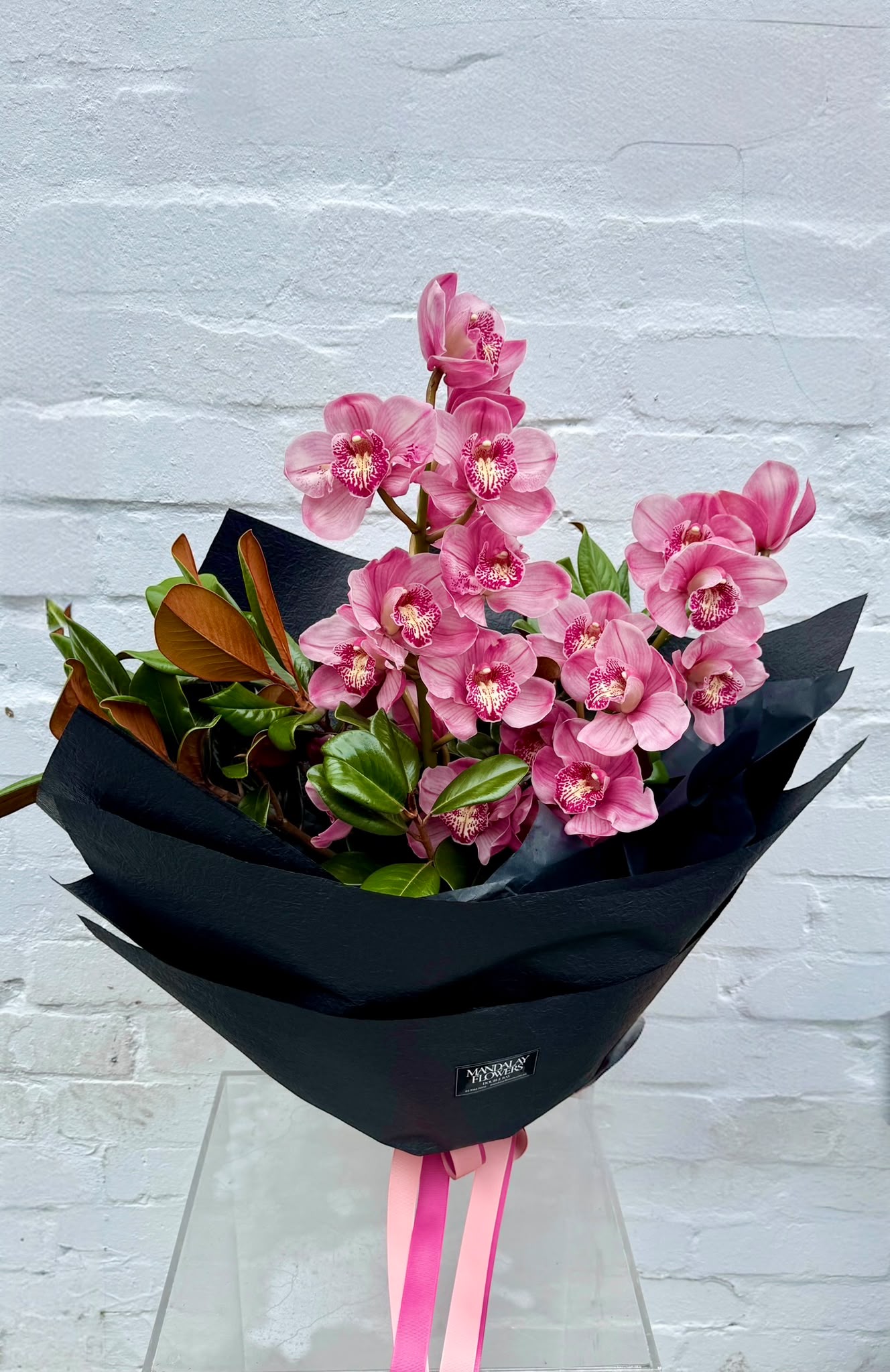 Cymbidium en Masse - Image 2
